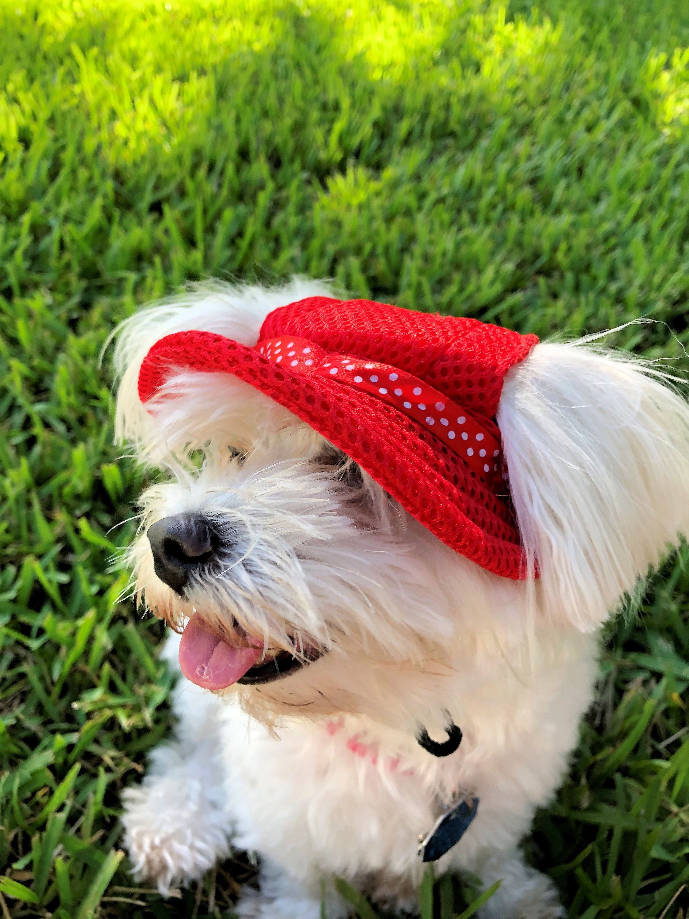 Doggie Bonnet Dog Baseball Cap Dog Visors Custom Dog Cap 