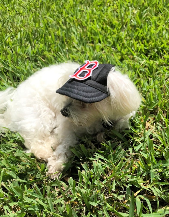 NY Dog Baseball Cap For Dogs