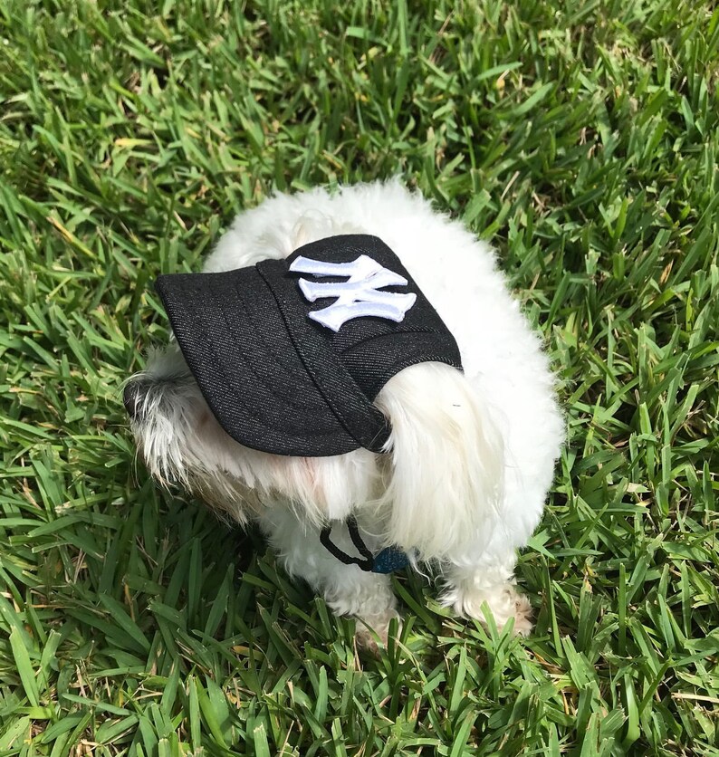 red sox dog hat