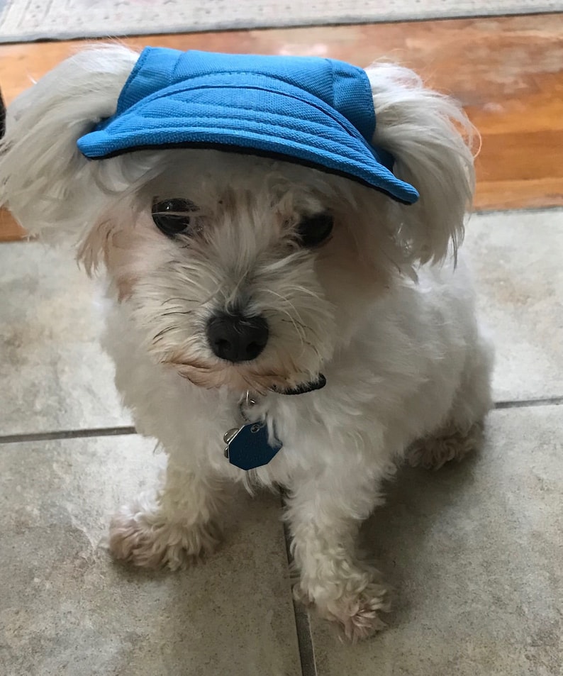 Doggie Caps Dog Baseball Cap Dog Visors Custom Dog Cap Personalized Dog