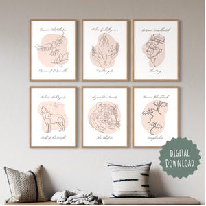 Throne of Glass Art Print Bundle, Bookish Decor, Sarah J Maas Wall Art, Throne of Glass Character Set, Romantasy Lover Gift, Set of 6 Prints