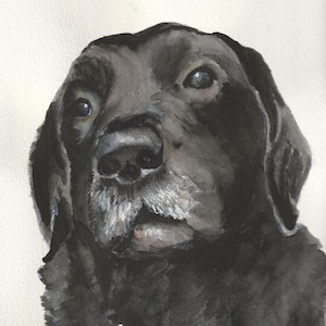 Pet portrait from photo, dog memorial gift for him, pet loss gifts dog, pet memorial, dog dad for Father&#39;s Day, personalized dog lover gift