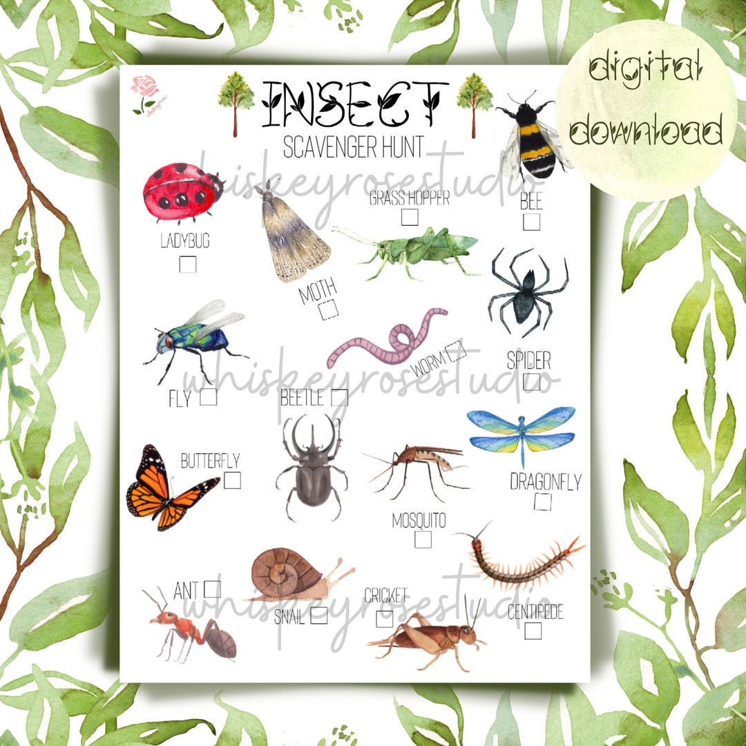 Printable Insect Scavenger Hunt Nature Scavenger Hunt - Etsy