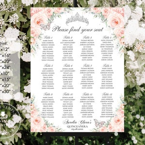 Blush Pink Floral Silver Butterflies Quinceañera Seating Chart Printable, EDITABLE TEMPLATE, Mis Quince Anos 18th 16th Birthday INSTANT QC7