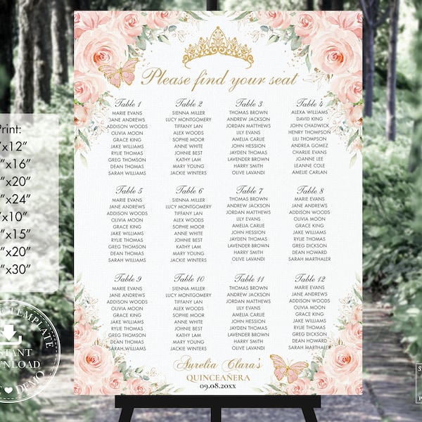 Blush Pink Floral Gold Butterflies Quinceañera Seating Chart Printable, EDITABLE TEMPLATE, Mis Quince Anos 18th 16th Birthday INSTANT QC7