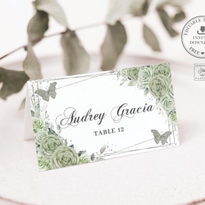 Sage Green Floral Place Cards Printable EDITABLE TEMPLATE, Guest Name Silver Quinceañera Sweet 16 Birthday Princess Crown Download, QC43