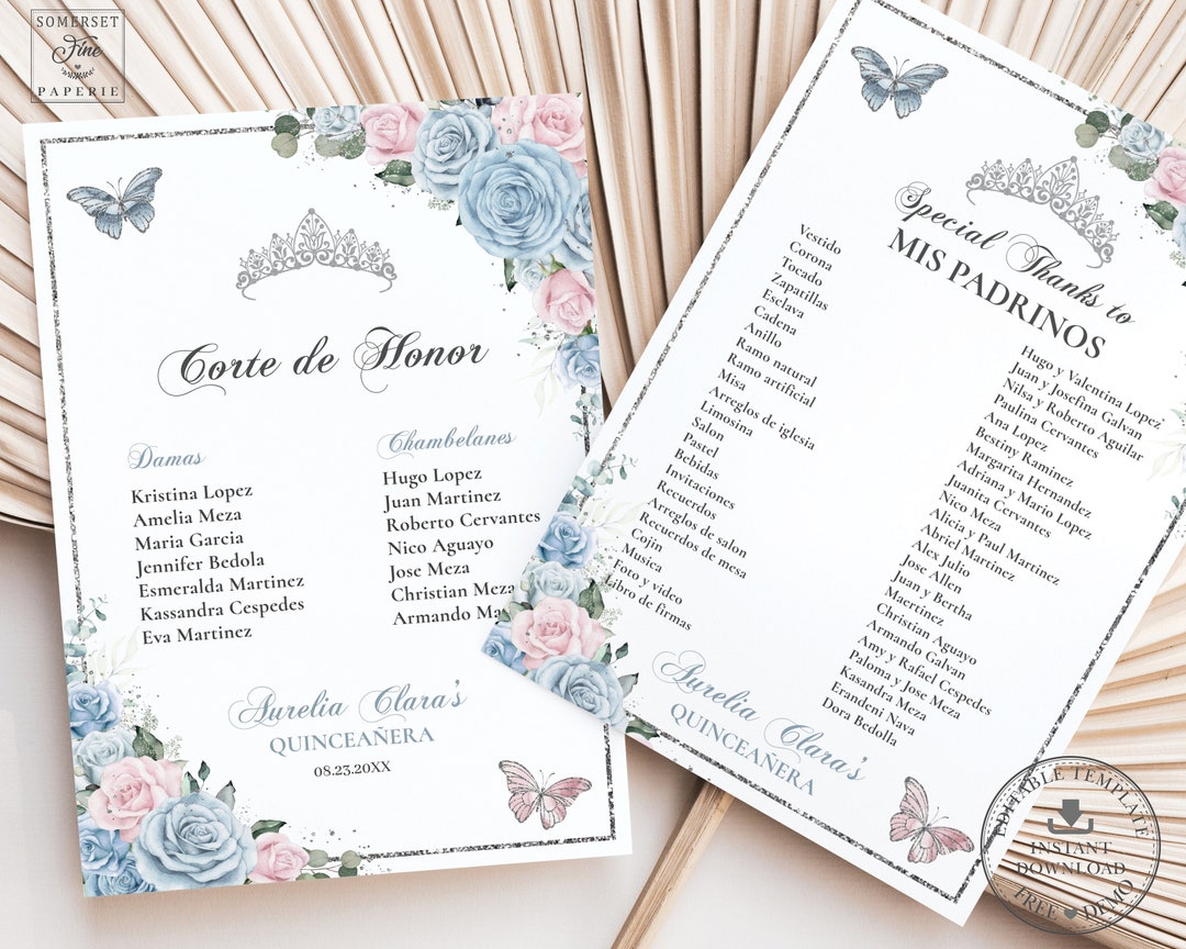 EDITABLE Baby Blue Light Pink Floral Silver Quinceañera Mis Padrinos ...