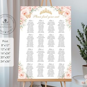 Blush Pink Floral Gold Butterflies Quinceañera Seating Chart 24"x36" Printable EDITABLE TEMPLATE Mis Quince XV Anos 18th 16th Birthday QC7