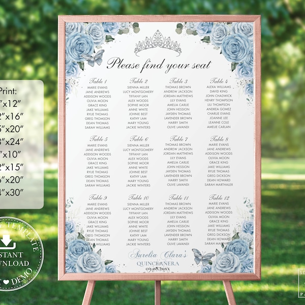 Baby Blue Floral Silver Quinceañera Seating Chart Printable, EDITABLE TEMPLATE, Mis Quince 15 Anos 18th 16th Birthday INSTANT Download QC18