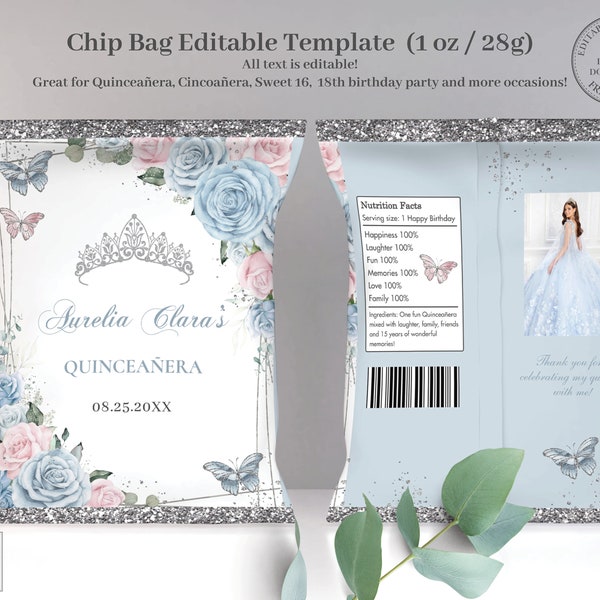 EDITABLE TEMPLATE Chip Bag Baby Blue Pale Pink Floral Silver Butterflies Quinceañera Quince 15 16th Birthday Favor Download Printable QC55