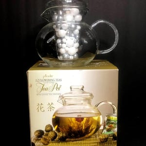 Primula Glass Teapot with loose infuser, 40oz/5 cup