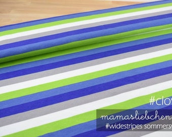 Summer Sweat fabric French Terry block strips Blue green #widestripes "clove" 0.5 m