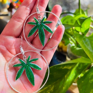 May include: A pair of silver hoop earrings with a green marijuana leaf charm hanging from each hoop.