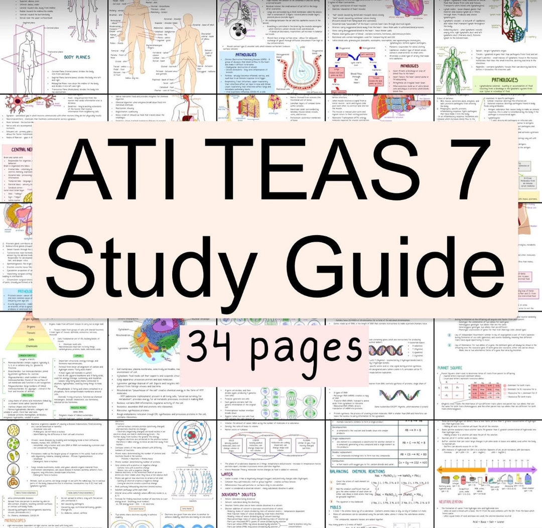 TEAS Study Guide 2023-2024 - Etsy