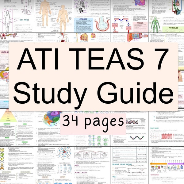 TEAS Study Guide 2023-2024