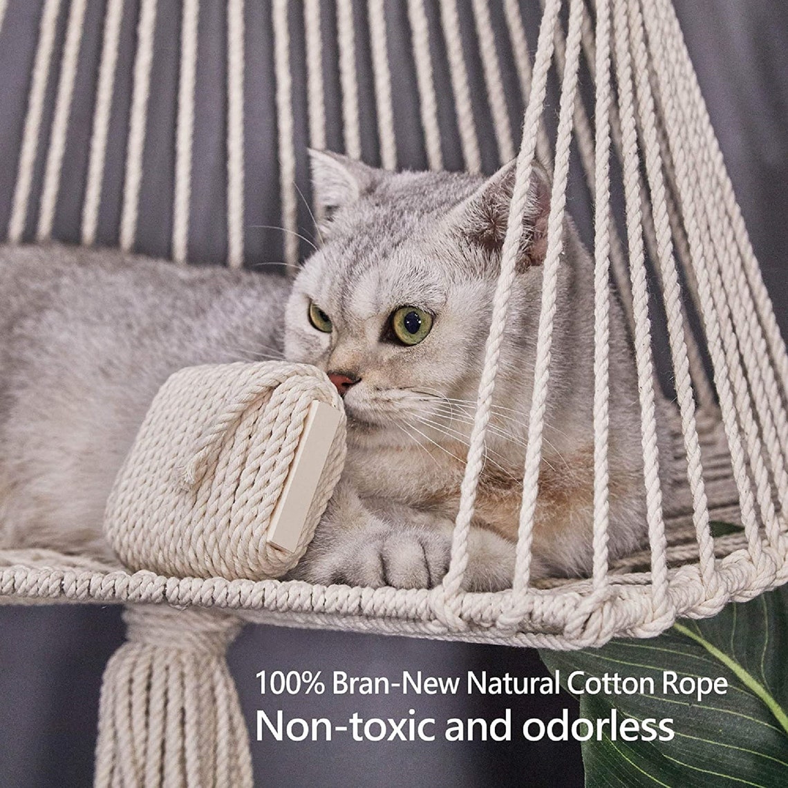 Macrame Cat Hammock wall hanging Cat Bed Decorative Wall Etsy