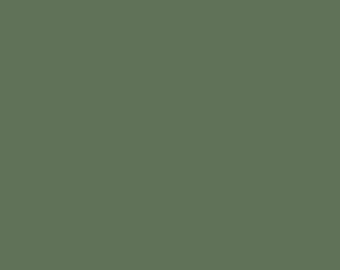 Pure Solids von Art Gallery Baumwolle EUCALYPTUS PE-503