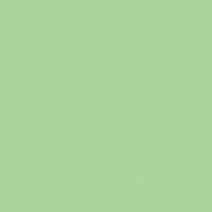 Könnte beinhalten: Einfarbiger hellgrüner Hintergrund. Das Bild hat eine einzige Farbe, ein blasses, gedämpftes Grün, ohne sichtbare Textur oder Muster. Die Farbe ist gleichmäßig über den gesamten Rahmen verteilt.
