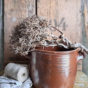 May include: A brown ceramic crock with two handles, filled with dried branches. The crock is sitting on a wooden surface with a roll of twine and a piece of linen fabric.