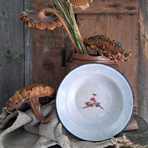RARE! Antique enameled children&#39;s plate*dining tableware for children*enamel dinner plate*soup plate...antique children&#39;s tableware