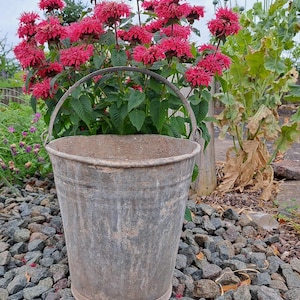 antique & rustic primitive ZINC BUCKET *bucket*kitchen bucket*WATER BUCKET*farmer&#39;s bucket*metal bucket*garden bucket...antique zincware