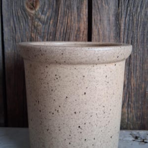 Puede incluir: Una maceta de cerámica beige moteada con un borde redondeado. El recipiente cilíndrico tiene una superficie texturizada con pequeños puntos marrones oscuros. El fondo es una superficie de madera envejecida.