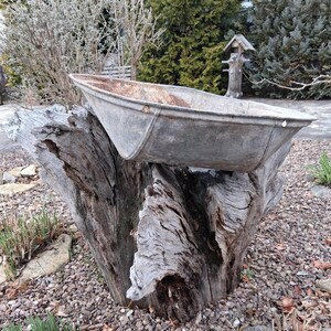 Può includere: Una carriola in metallo zincato usurato poggia su un grande ceppo d'albero strutturato. La carriola ha una forma rettangolare con un fondo leggermente curvo e mostra segni di ruggine. Lo sfondo presenta vegetazione e una casetta per uccelli.