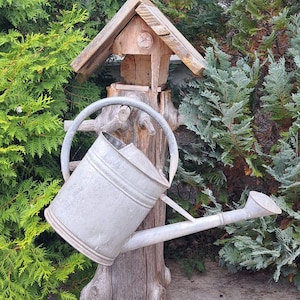 May include: A rustic wooden birdhouse with a peaked roof sits atop a weathered tree stump. A galvanized metal watering can is leaning against the stump. The scene is set against a backdrop of lush green and blue-green foliage.