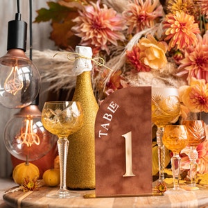 Terracotta Velvet Table Numbers, Gold Acrylic Table Sign, Gold Plexi Table Numbers, Luxury Wedding Table Decor, copper table numbers, TrcS