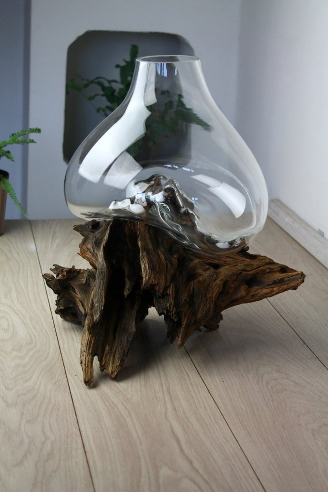 Glass on the root glass decoration vase Roots Decor glass Etsy