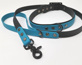 Biothane Hundehalsband Hundeleine zweilagig und zweifarbig 25mm mit Ösen - auch als Set mit verschiedenen Leinenausführungen