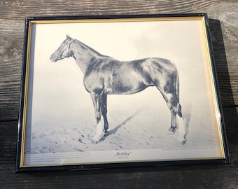 Vintage Photography - Horses - Sweden hippological poster