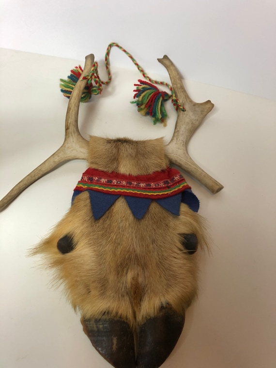 Un véritable Reindeerhorn à corne de renne pure Et le renne laisse  scandinave / os / cerfs / nature / milieu du siècle / vintage / même /  indigène -  Canada