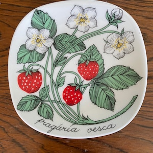 Puede incluir: Un plato de cerámica blanco con un diseño de planta de fresa. El plato presenta fresas rojas, flores blancas con centros amarillos y hojas verdes. Las palabras "fragária vesca" están escritas en escritura negra.