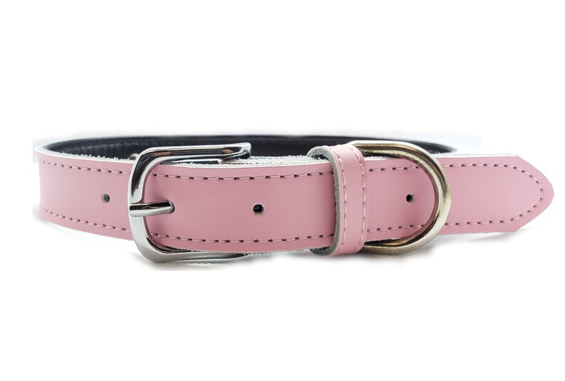 Pink Kitten Collar for Women Sexy Kawaii Leather Choker Etsy