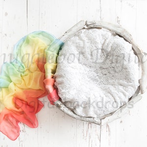 Newborn digital background, newborn digital backdrop, rainbow,driftwood bowl, 5 image options,boy,girl