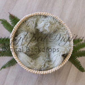May include: A woven basket with a light grey faux fur lining. The basket is surrounded by green fern leaves on a light wood background.