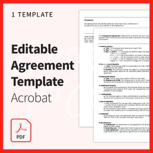 Adobe Acrobat PDF Consultor Freelance Cliente Funcionário Modelo de Contrato Editável Download Digital Modelo Profissional Limpo Carta dos EUA