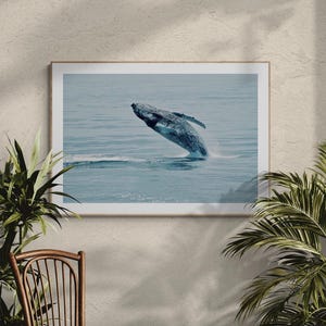 Maine Humpback Fine Art Print | Coastal Whale Wall Poster Ocean Fine Art Photography Vintage East Coast Home Decor By Jessica Joy