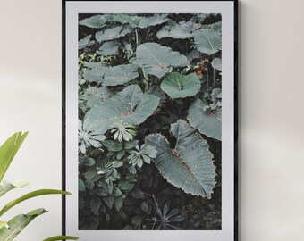 Impresión de fotografía botánica de bellas artes: selva tropical exótica, arte de pared con plantas verdes relajantes, decoración de pared tropical de Hawái por Jessica Joy