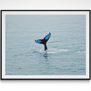 Impresión de fotografía de cola de ballena jorobada de Maine, cartel de bellas artes de vida silvestre marina, fotografía de ballena atlántica, decoración de pared para el hogar, impresión de vida silvestre del océano