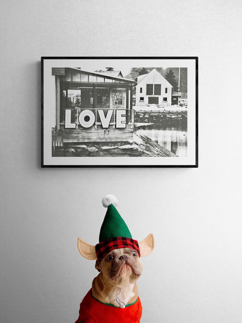 May include: A black and white photograph of a building with the word "LOVE" in large letters on the side. A French bulldog wearing a green elf hat and red and black plaid shirt is looking up at the photo.