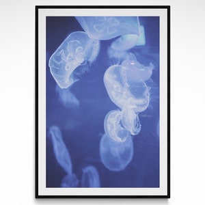 Ocean Jellyfish Photography Print Underwater Fine Art Poster Marine Life Photography Home Wall Decor Ocean Fish Photo Print Home Wall Art