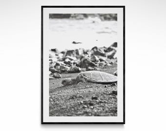 Island Turtle Fine Art Print - Ocean Wall Art, Hawaii Photography Print, Marine Conservation Photo, Hawaiian Sea Turtle Decor