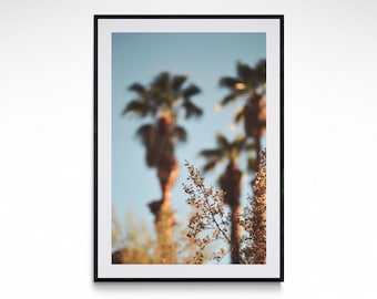 Palm Breeze Fine Art Print - Tropical Photography Vintage Botanical Wall Art Coastal Palm Tree Print California Beach Lifestyle Home Decor