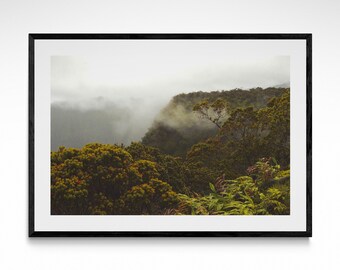 Rainforest Haze Photography Print Hawaii Home Decor Tropical Mountain Landscape Print Oahu Wall Art