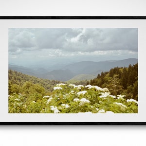 Smoky Mountains Tennessee Fine Art Print | Rustic Nature Landscape Photography Luxury Wall Decor Outdoor Wilderness Poster