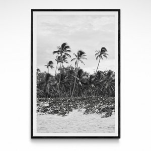 Hawaii Strand Palmen Kunstdruck | Black & White Hawaii Surf Fotografie Poster Küsten Oahu Wohnkultur