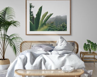 After The Rain Fine Art Print | Hawaii Rainforest Nature Photography Poster Oahu Mountain Landscape Home Wall Decor