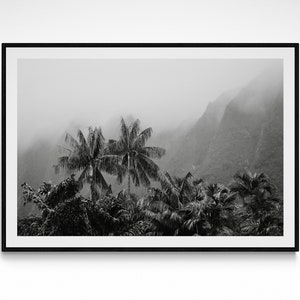 Impresión fotográfica de palmeras tropicales vintage en blanco y negro, póster de bellas artes hawaianas, fotografía de montaña tropical, impresión de decoración del hogar, arte de palmeras